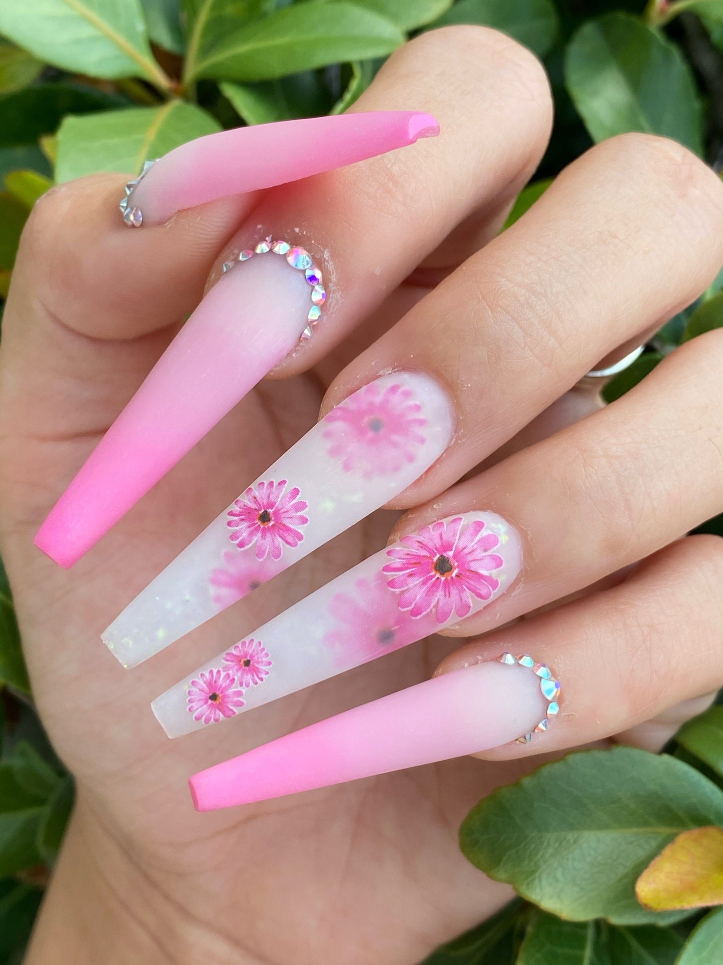 Sticker - Daisy Flower #01 - Set 5 pcs