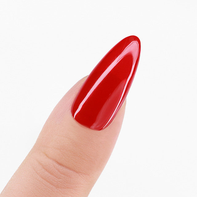 Perfect Match  Pro Gel Polish & Lacquer Duo