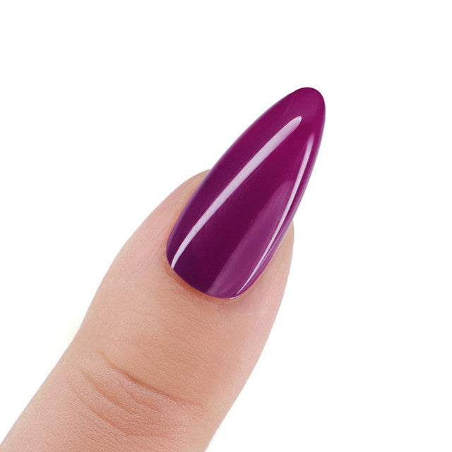 Perfect Match  Pro Gel Polish & Lacquer Duo