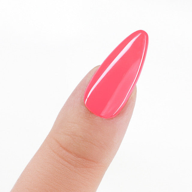 Perfect Match  Pro Gel Polish & Lacquer Duo