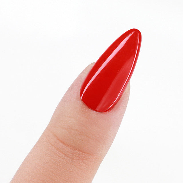 Perfect Match  Pro Gel Polish & Lacquer Duo