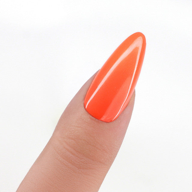 Perfect Match  Pro Gel Polish & Lacquer Duo