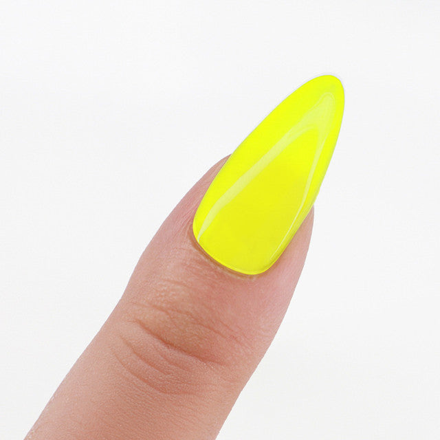 Perfect Match  Pro Gel Polish & Lacquer Duo