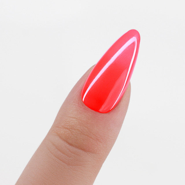 Perfect Match  Pro Gel Polish & Lacquer Duo