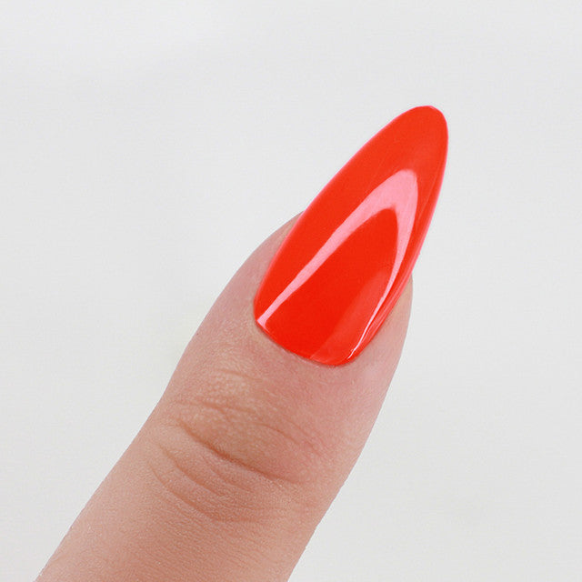 Perfect Match  Pro Gel Polish & Lacquer Duo