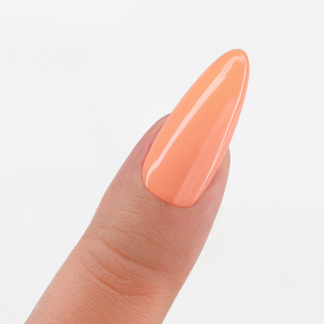 Perfect Match  Pro Gel Polish & Lacquer Duo