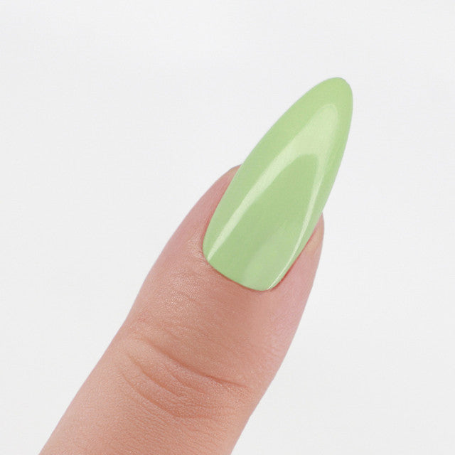 Perfect Match  Pro Gel Polish & Lacquer Duo