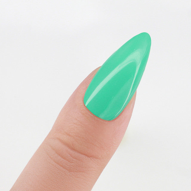 Perfect Match  Pro Gel Polish & Lacquer Duo