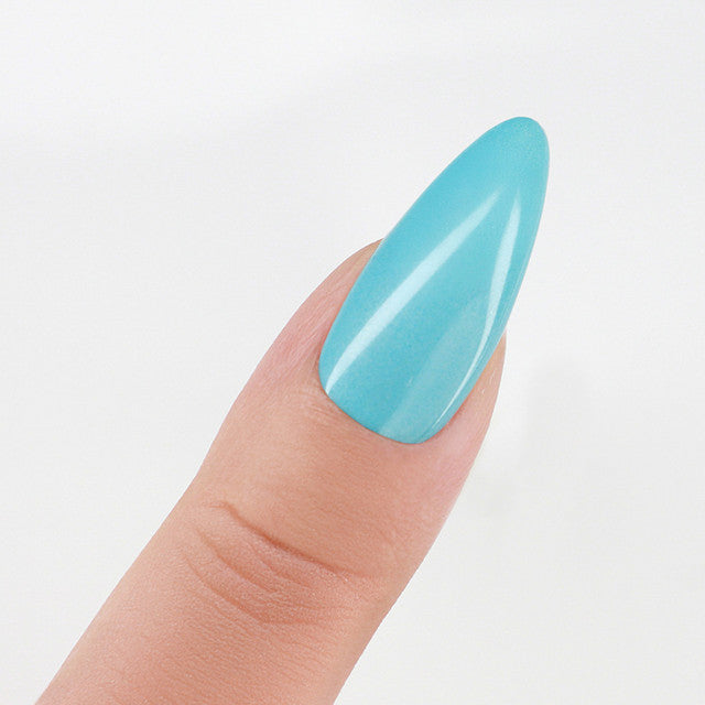 Perfect Match  Pro Gel Polish & Lacquer Duo