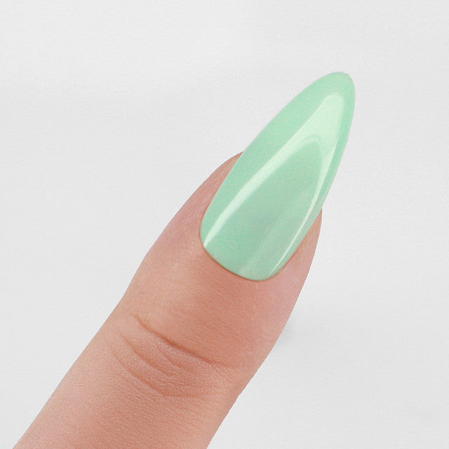 Perfect Match  Pro Gel Polish & Lacquer Duo