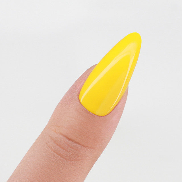 Perfect Match  Pro Gel Polish & Lacquer Duo