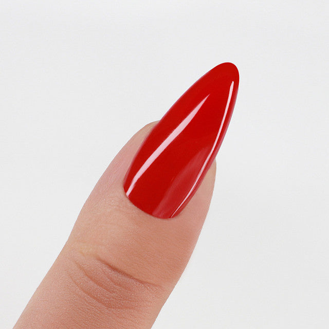 Perfect Match  Pro Gel Polish & Lacquer Duo
