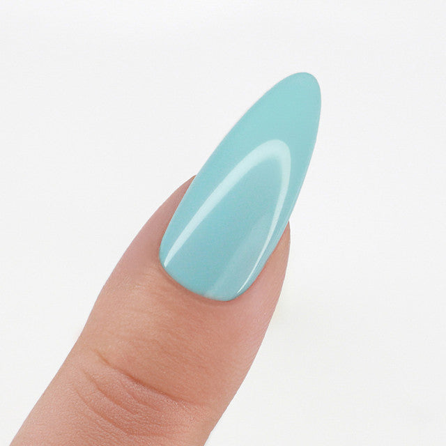 Perfect Match  Pro Gel Polish & Lacquer Duo