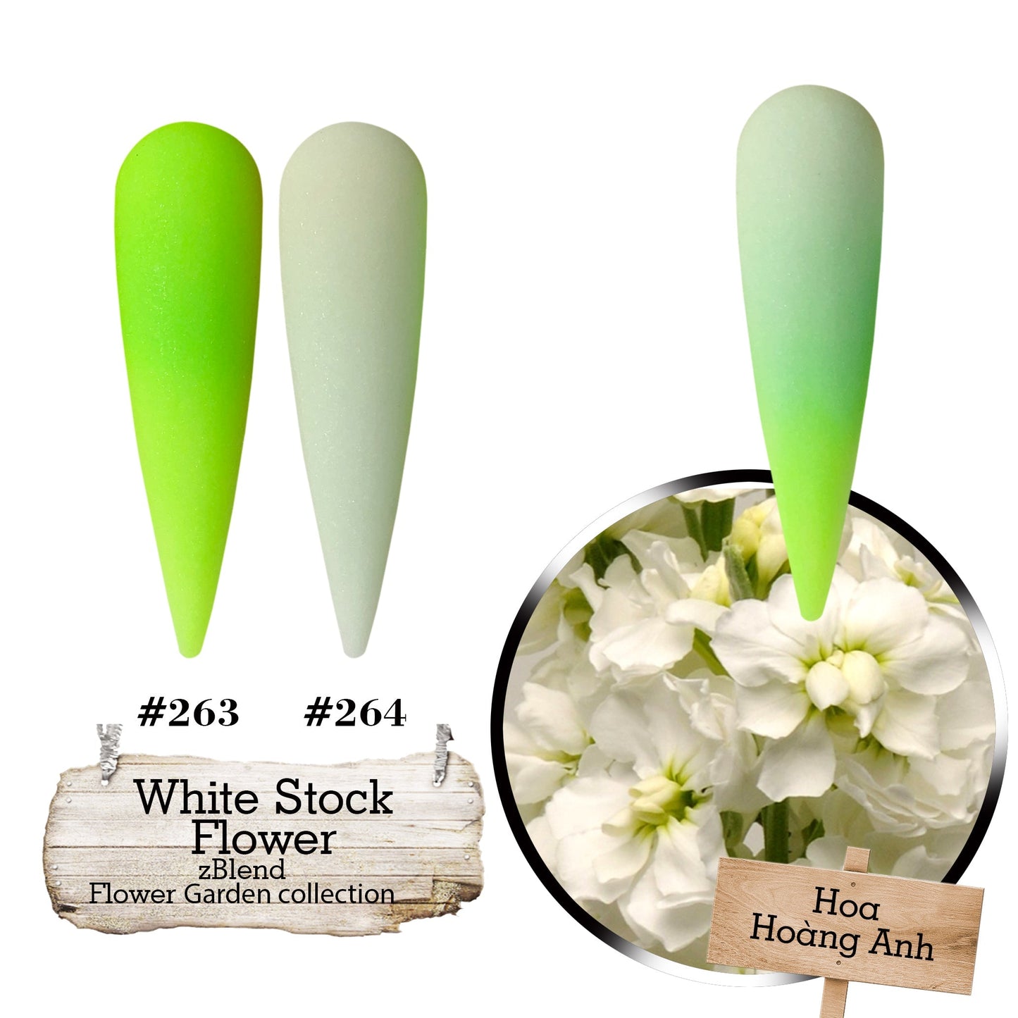 zBlend OR zGel | #253 - #288 Flowers Garden Collection - 36 Colors