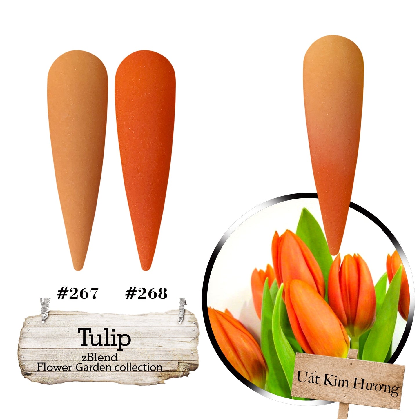 zBlend OR zGel | #253 - #288 Flowers Garden Collection - 36 Colors