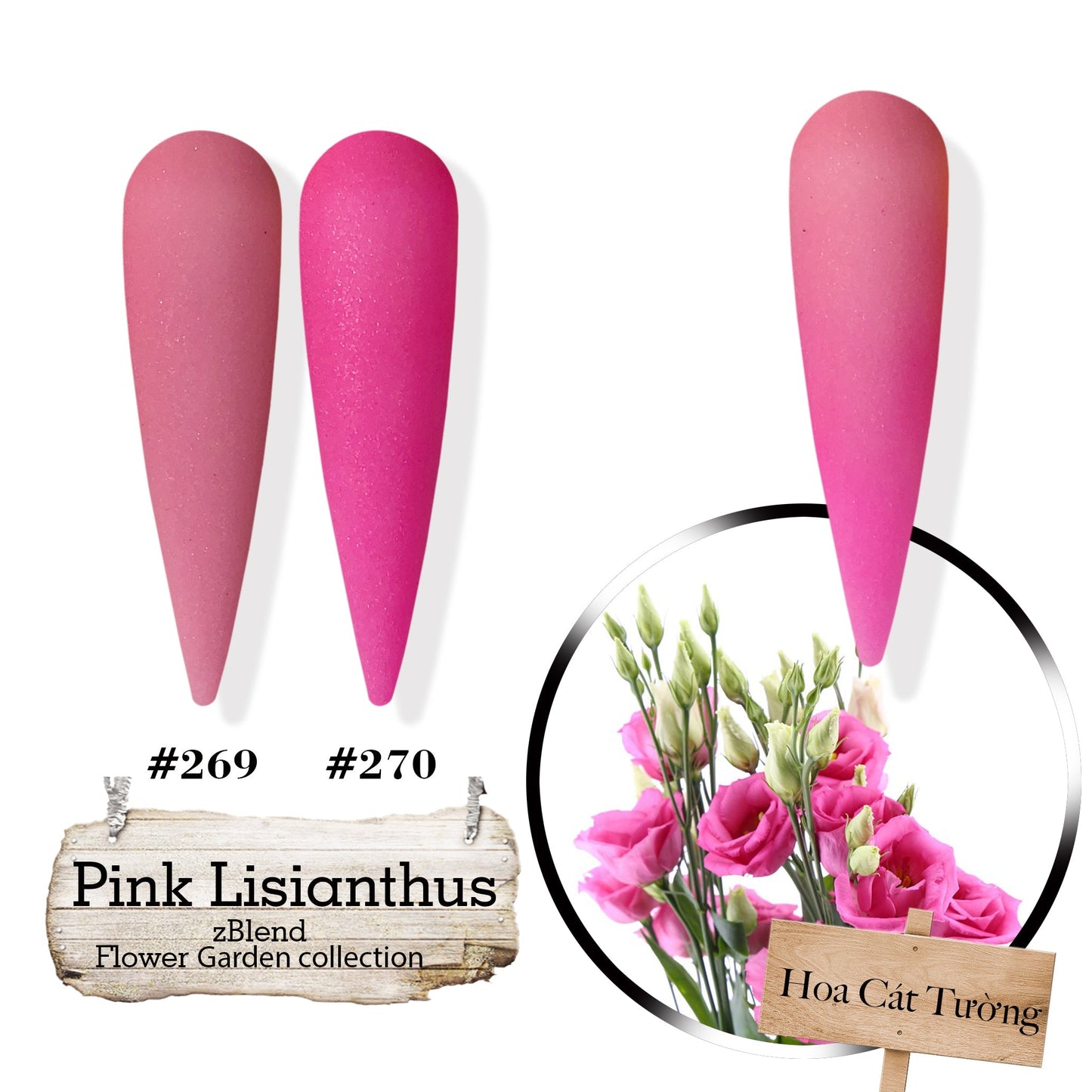 zBlend OR zGel | #253 - #288 Flowers Garden Collection - 36 Colors