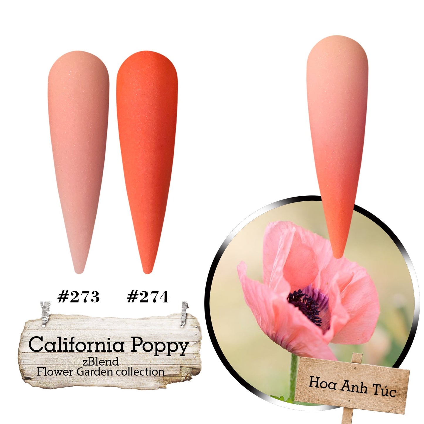 zBlend OR zGel | #253 - #288 Flowers Garden Collection - 36 Colors