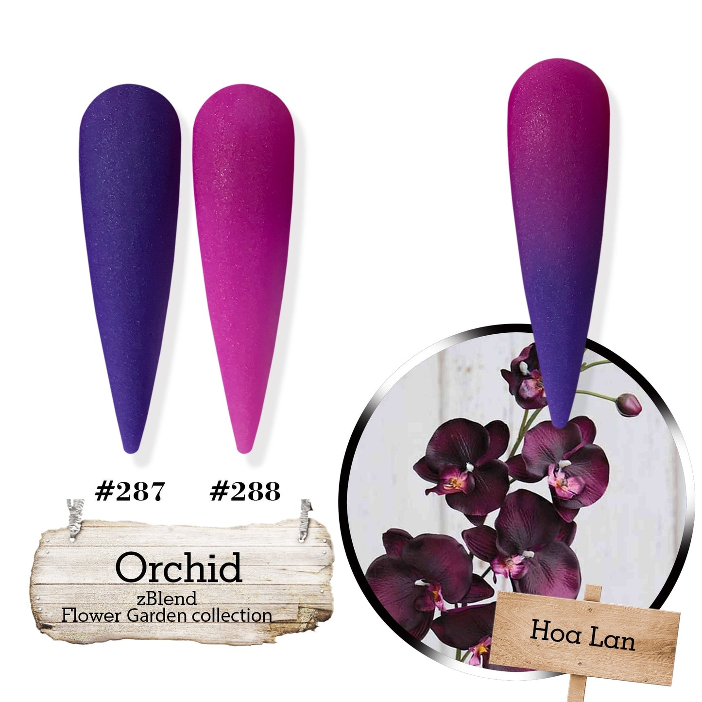 zBlend OR zGel | #253 - #288 Flowers Garden Collection - 36 Colors